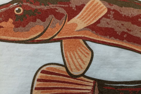 Nadruk na koszulce węgorz