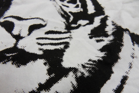 nadruki tygrys wrocław